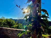 Palazzo del Papa Country Suites - Ferienwohnung Siena