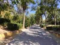 Apartamento Rosa Park - B&B Toledo