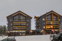 Levin Kunkku B2 Apartment Grey - B&B Levi