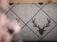 Appartement met 2 slaapkamers