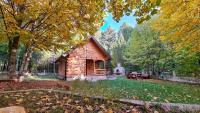 Cabin House Hidden Nest - B&B