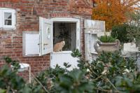 Lille Weiss-KEINE MONTEURE- - Bed and Breakfast