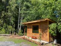 cabaña entre coihues y arrayanes - B&B Villarrica