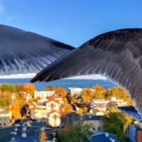 Tweepersoonskamer