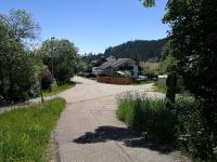 Ankommen und loswandern Familien und Hundeurlaub im Hochschwarzwald Ferienwohnung Haus Maria - Chambres d'hôtes Sankt Blasien