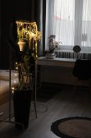 Viky Apartment - B&B Satu Mare