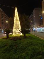 Dolce Vita Affittacamere - B&B Roma