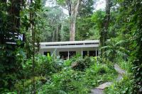 Casa Eden - Modern Peaceful Jungle Apartments - B&B Cocles