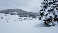 Ferienwohnungen am Schneeberg - B&B Titisee-Neustadt