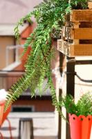 Cà Vivaldi penthouse 5Terreholiday - B&B Riomaggiore