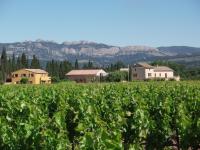 Gîte Les Vignes - B&B