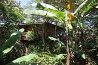TREEHOUSE PILON PAVONES - B&B
