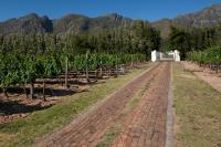La Galiniere Guest Cottages - B&B Franschhoek