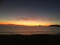 Les Palmiers - B&B Saint-Cyr-sur-Mer