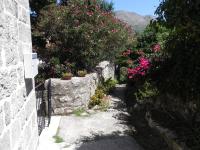 Villa By The Sea Near Dubrovnik - B&B Ragusa Vecchia