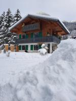 Chalet la sapiniere - B&B La Chapelle-d'Abondance