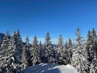 APARTMANI POLARIS JAHORINA - B&B Jahorina