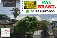 B&B Sete Lagoas - Recanto Pau Brasil - Bed and Breakfast Sete Lagoas