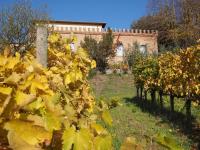 Agriturismo Poggiarellino - Montalcino - Chambres d’hôtes Montalcino