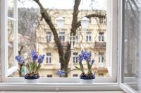 Apartment Anglicka 138 - B&B Mariánské Lázně