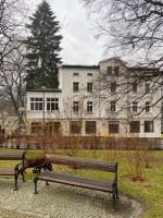 CIENISTA 7 APARTMENTS - B&B Lądek Zdrój