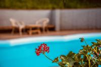 Villa Tanya - B&B