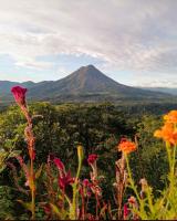 B&B La Fortuna - Las Pavitas Cottages - Bed and Breakfast La Fortuna