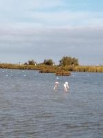 Dolce Notte - B&B Saintes-Maries-de-la-Mer