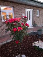 B&B Tönning - Huus Landwind - Bed and Breakfast Tönning