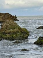 Serena del Mar, Morros IO - B&B
