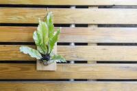 TT Guesthouse旅人時光民宿 - B&B Tainan