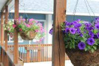 Lake Haven Motel - B&B Lake George