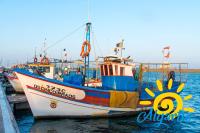 Carob By Algartur - 3 mins Downtown - Terrace - Ferienwohnung Santa Luzia