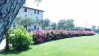 Agriturismo Le Ginestre - Bed and Breakfast Lazise