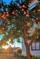 Appartamento L'arancio - Ferienwohnung