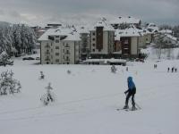 B&S Apartments - Ferienwohnung Zlatibor