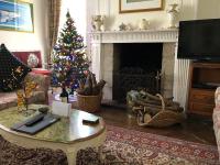 16th Century Manoir du Belvedere - central, unique, historical, with all modern amenities - B&B Auray