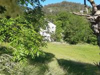 Familienzimmer mit Gartenblick