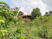 Chalet 1 Chambre