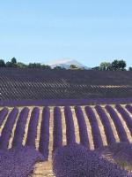 Villa au pied du Ventoux - B&B