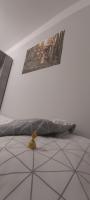 Petite Chambre Lits Jumeaux