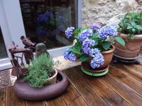 B&B de charme La Maison des 5 Temps - B&B