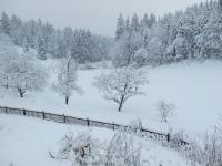 Appartamento - Piano Terra