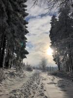 Appartamento su 2 Livelli