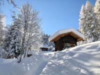 Chalet Mountain Vibes - B&B