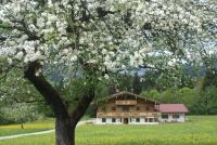 Chaletwohnung Lederer - Ferienwohnung
