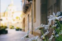 LA NASSA SUITES & ROOMS - Bed and Breakfast