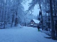 Apartament Stanca Piticului - B&B Sinaia