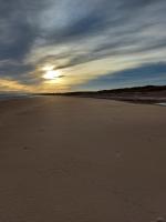 Ivy Cottage - B&B Montrose