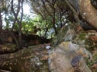 Agriturismo Il Paradiso - B&B Iglesias